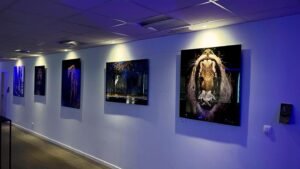 Exhibition Serendipity 2