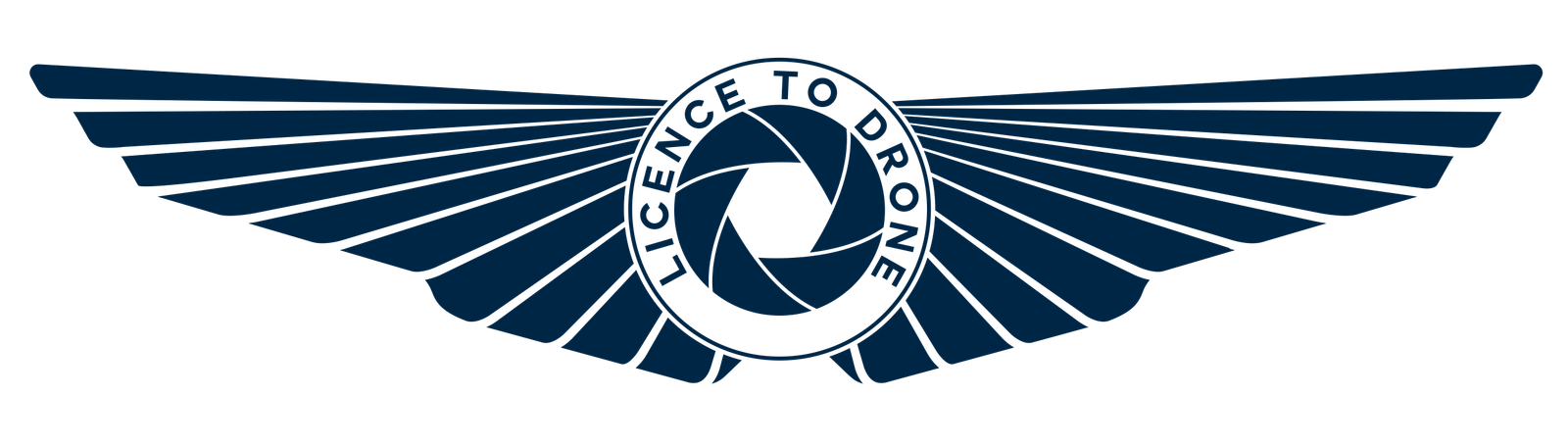 Licence To Drone