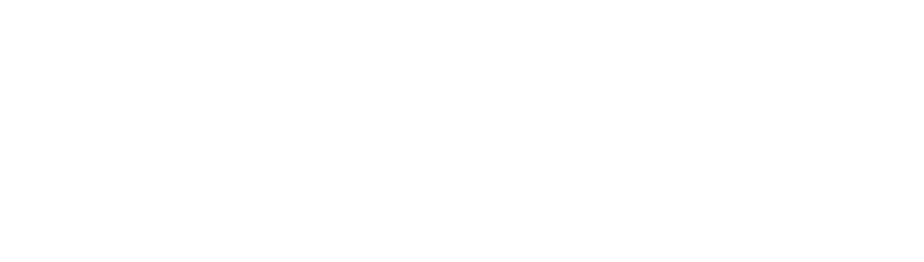 Logo Licence to Drone