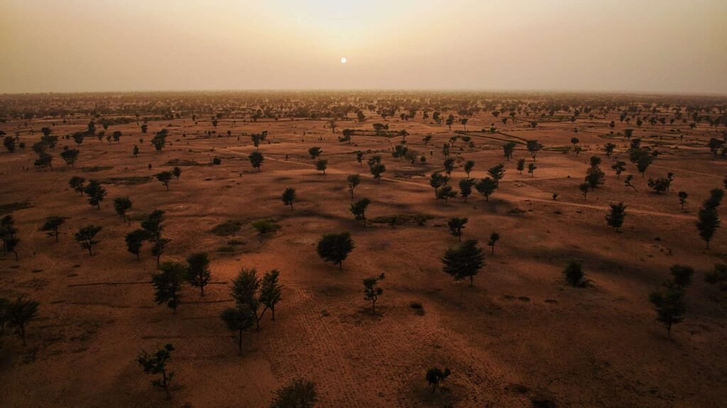 Sénégal coucher de soleil brousse