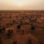 Sénégal coucher de soleil brousse