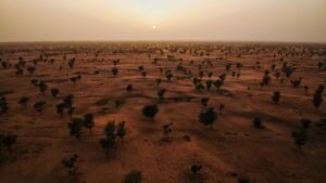 Sénégal coucher de soleil brousse